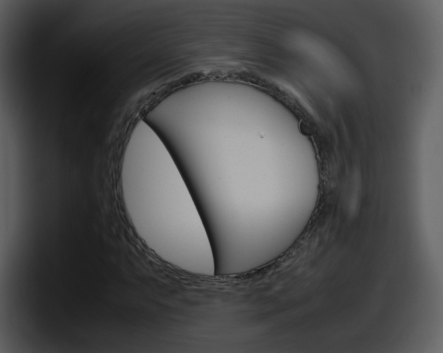 X0000098101063200804040742