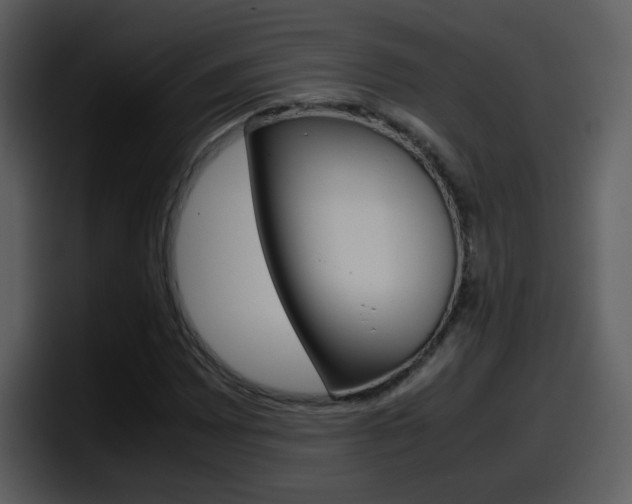 X0000098101065200804040742