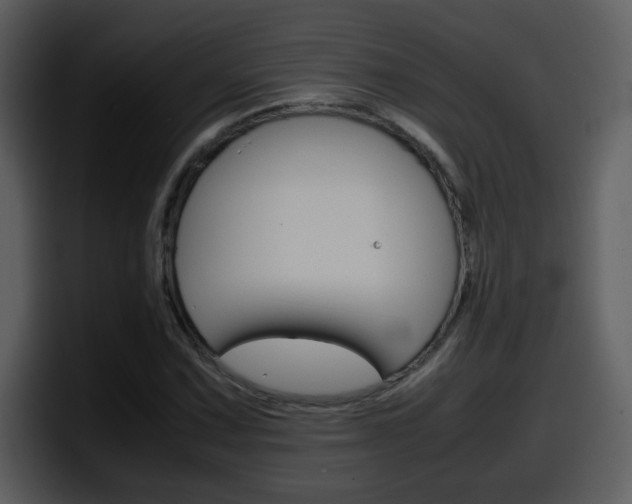 X0000098101067200804040742