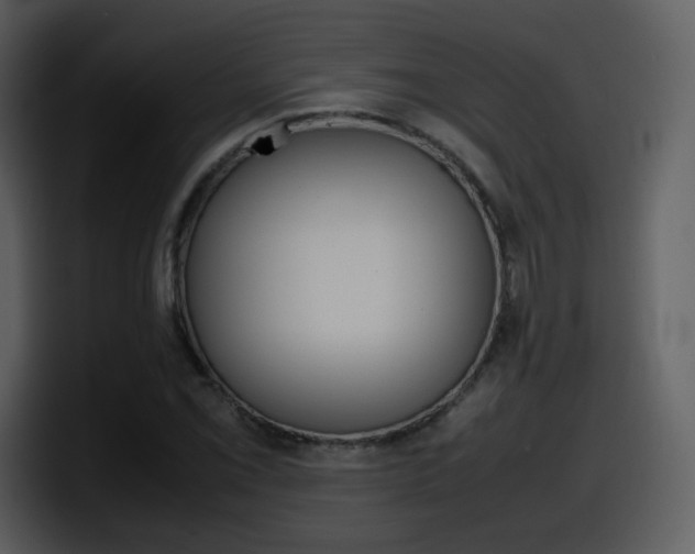 X0000098101069200804040742