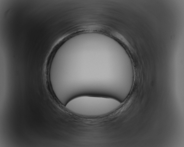 X0000098101071200804040742