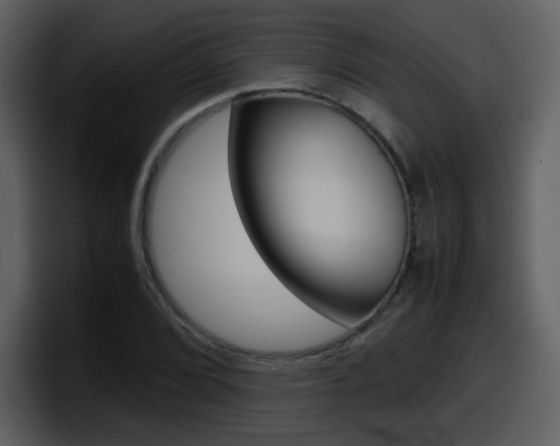 X0000098101072200804040742