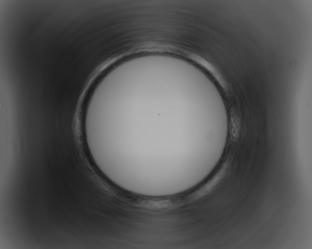 X0000098101074200804040742