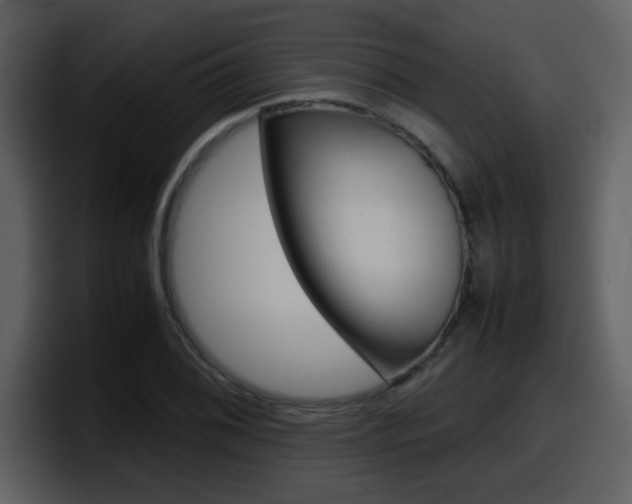X0000098101076200804040741