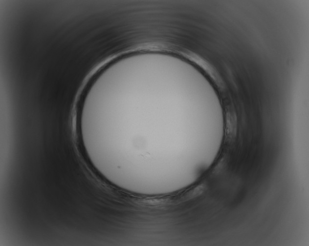 X0000098101078200804040741