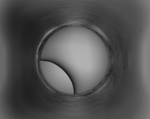 X0000098101079200804040741
