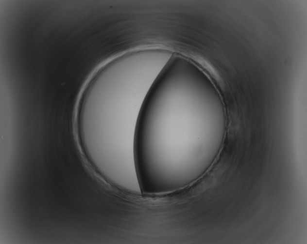 X0000098101080200804040741