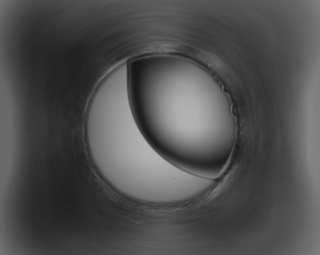 X0000098101081200804040741