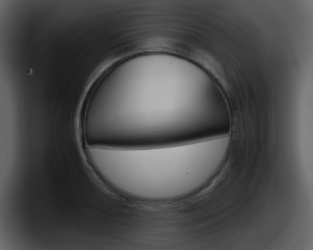 X0000098101082200804040741