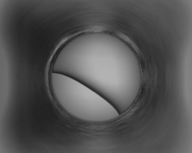 X0000098101083200804040741