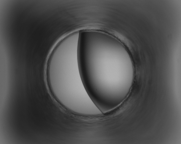 X0000098101085200804040741