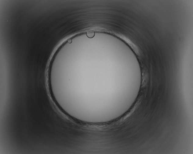 X0000098101086200804040741