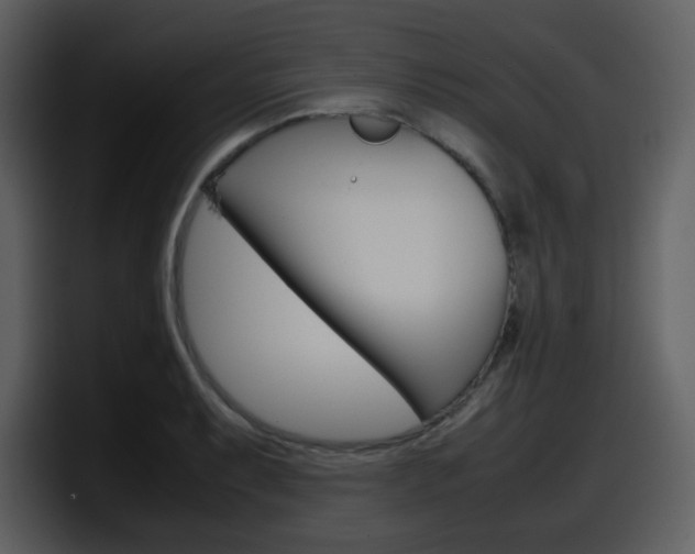 X0000098101087200804040741