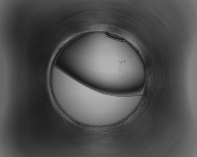 X0000098101088200804040741