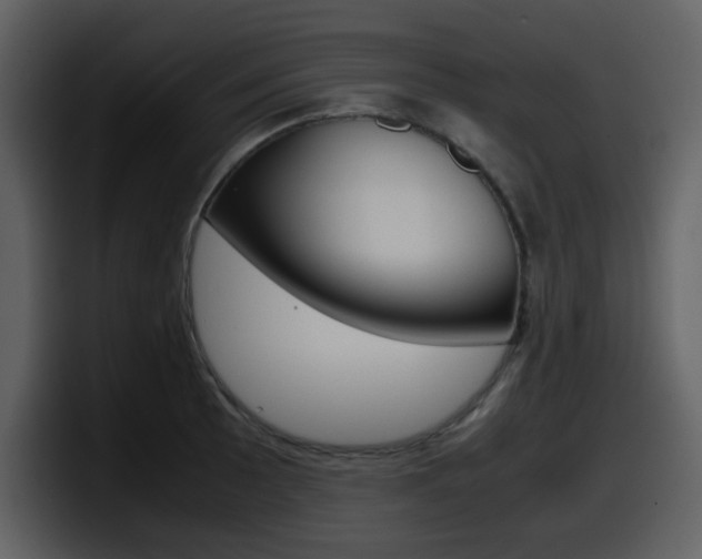 X0000098101089200804040741