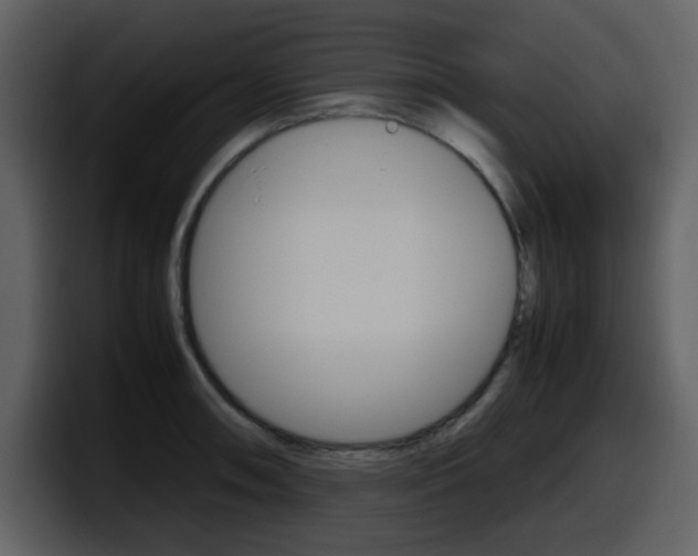 X0000098101090200804040741