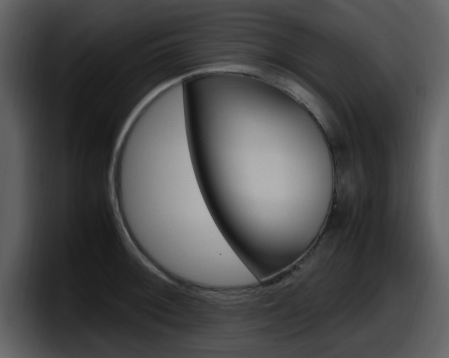 X0000098101092200804040741