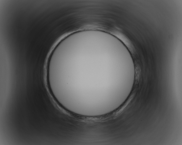X0000098101094200804040741