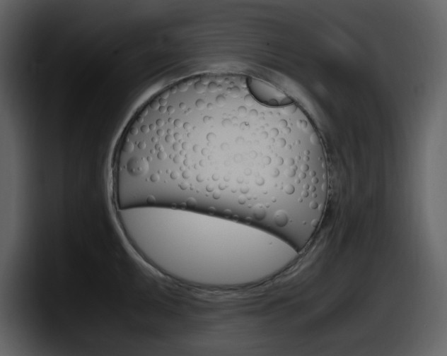 X0000098101095200804040741