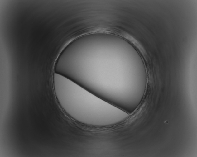 X0000098101097200804040741