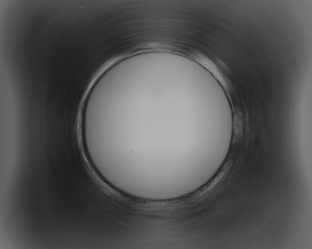 X0000098101098200804040741