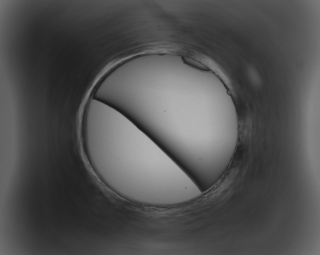 X0000098101099200804040741