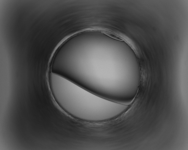 X0000098101100200804040741