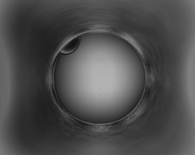 X0000098101101200804040741