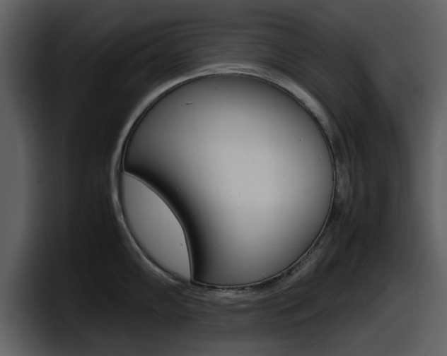X0000098101102200804040741