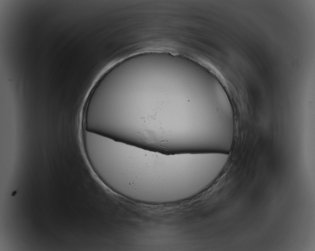 X0000098101103200804040741