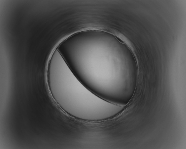 X0000098101104200804040741