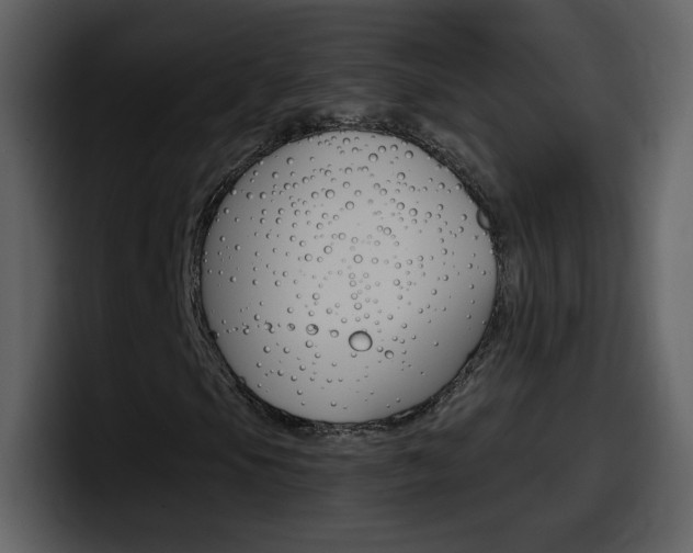 X0000098101105200804040741