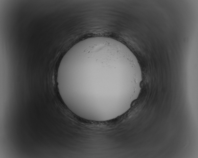 X0000098101106200804040741