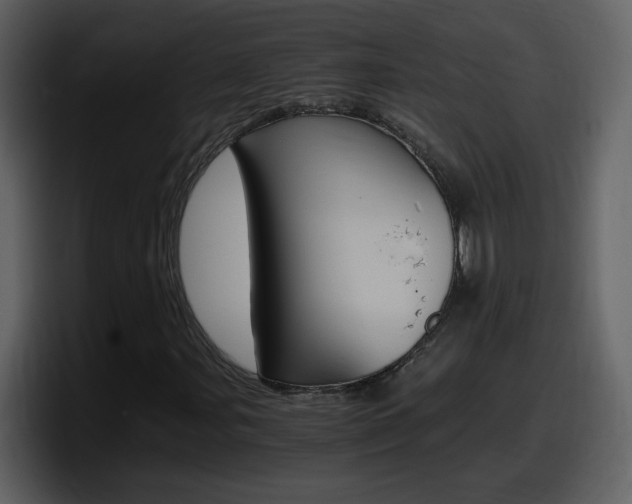 X0000098101107200804040741