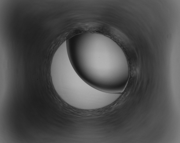 X0000098101108200804040741