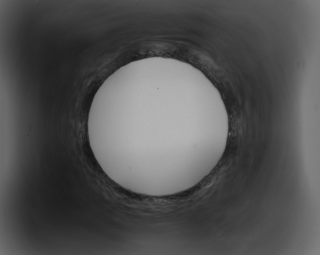 X0000098101109200804040741