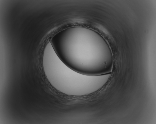 X0000098101112200804040741