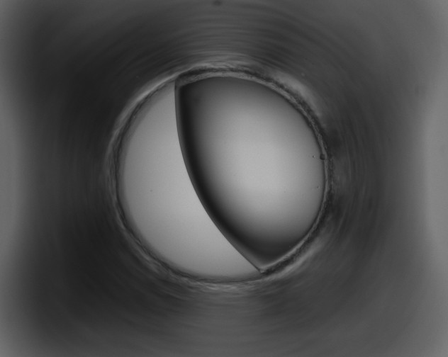X0000098101114200804040741
