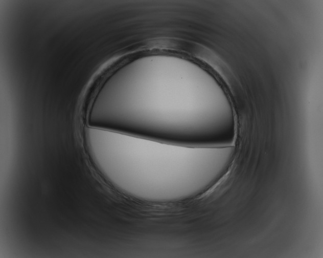 X0000098101115200804040741