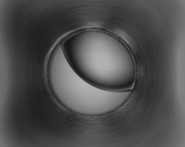 X0000098101116200804040741