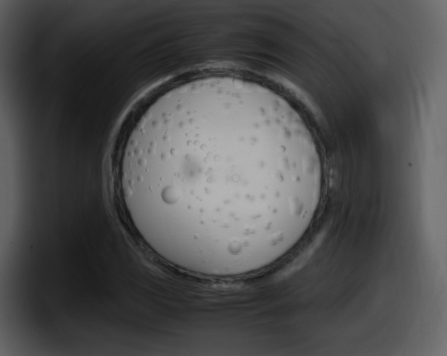 X0000098101117200804040741