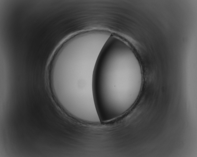 X0000098101118200804040741