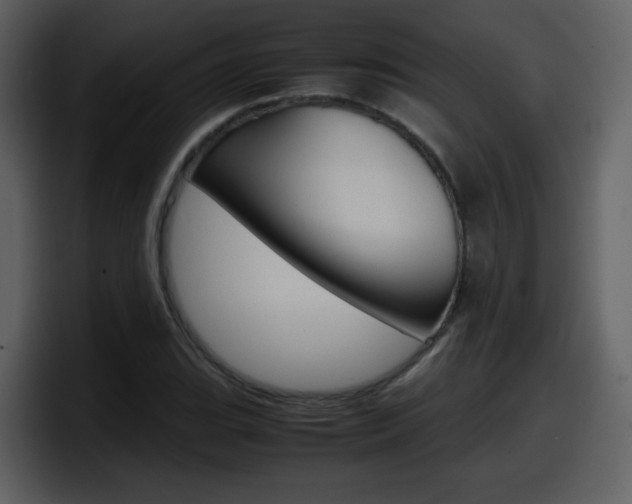 X0000098101119200804040741