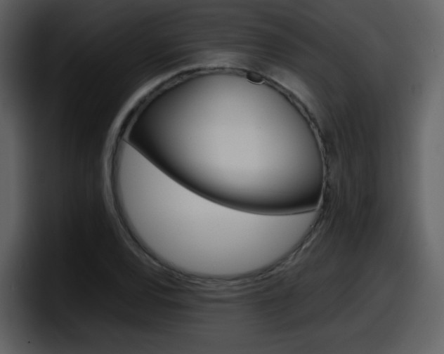 X0000098101120200804040741