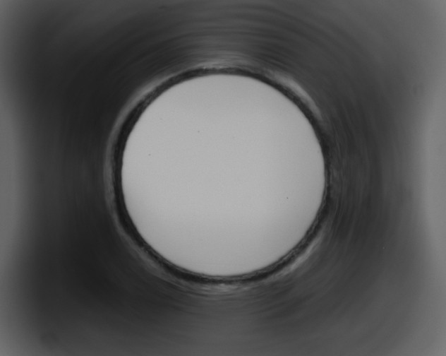 X0000098101122200804040741