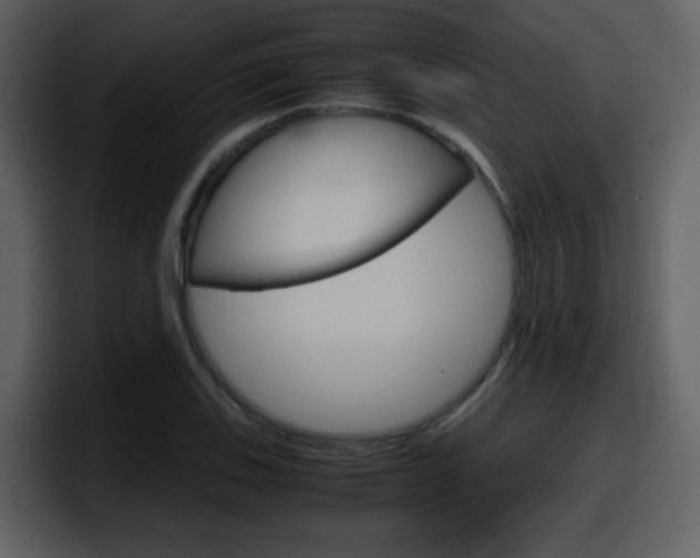X0000098101123200804040741