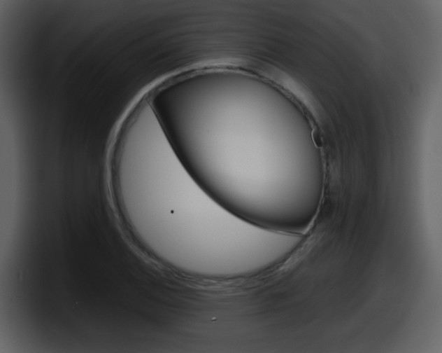 X0000098101124200804040741