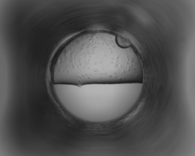 X0000098101125200804040741