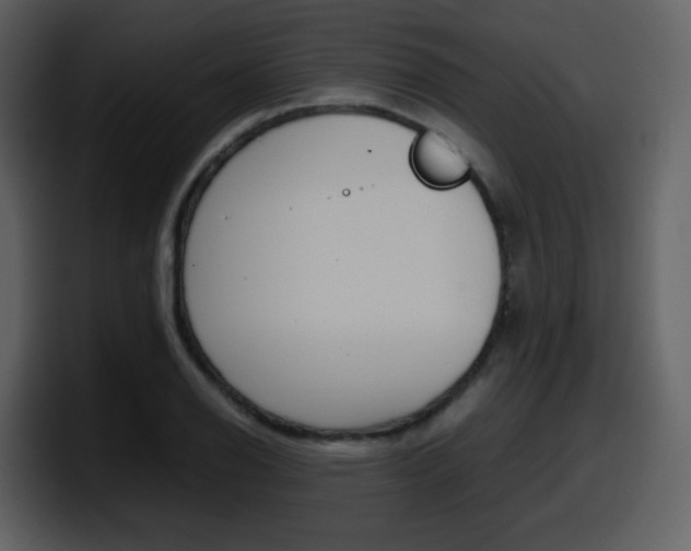 X0000098101126200804040741