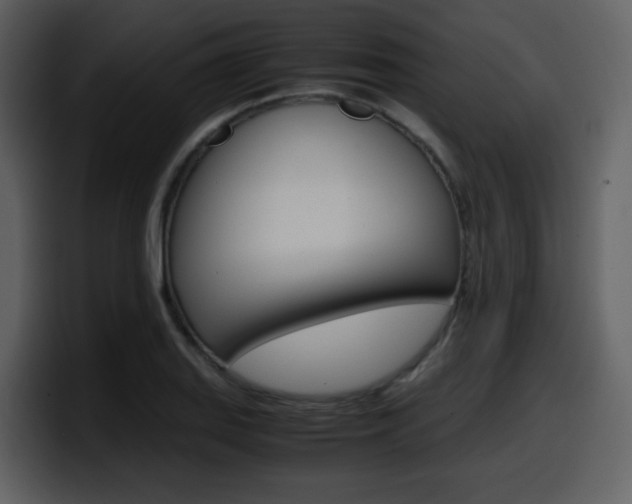 X0000098101127200804040741